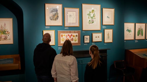 A group of people admire botanical art in a gallery